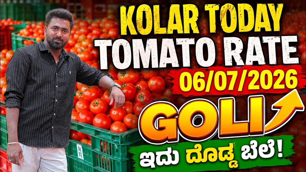 ಗೋಳಿ (Goli)  Kolar today tomato rate 06/07/2026 ಕೋಲಾರ ಟಮೋಟ ಮಾರ್ಕೆಟ್ ಇವತ್ತಿನ ಬೆಲೆಗಳು..?