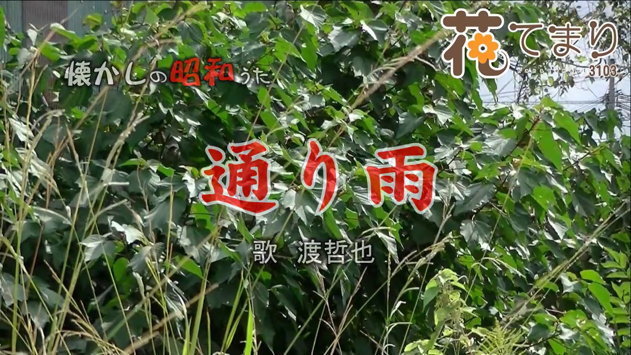 通り雨　渡哲也　歌酒場Ａ－4