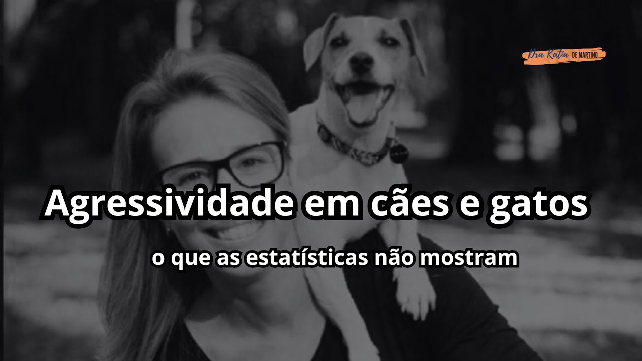 Agressividade em cães e gatos: o que as estatísticas não mostram