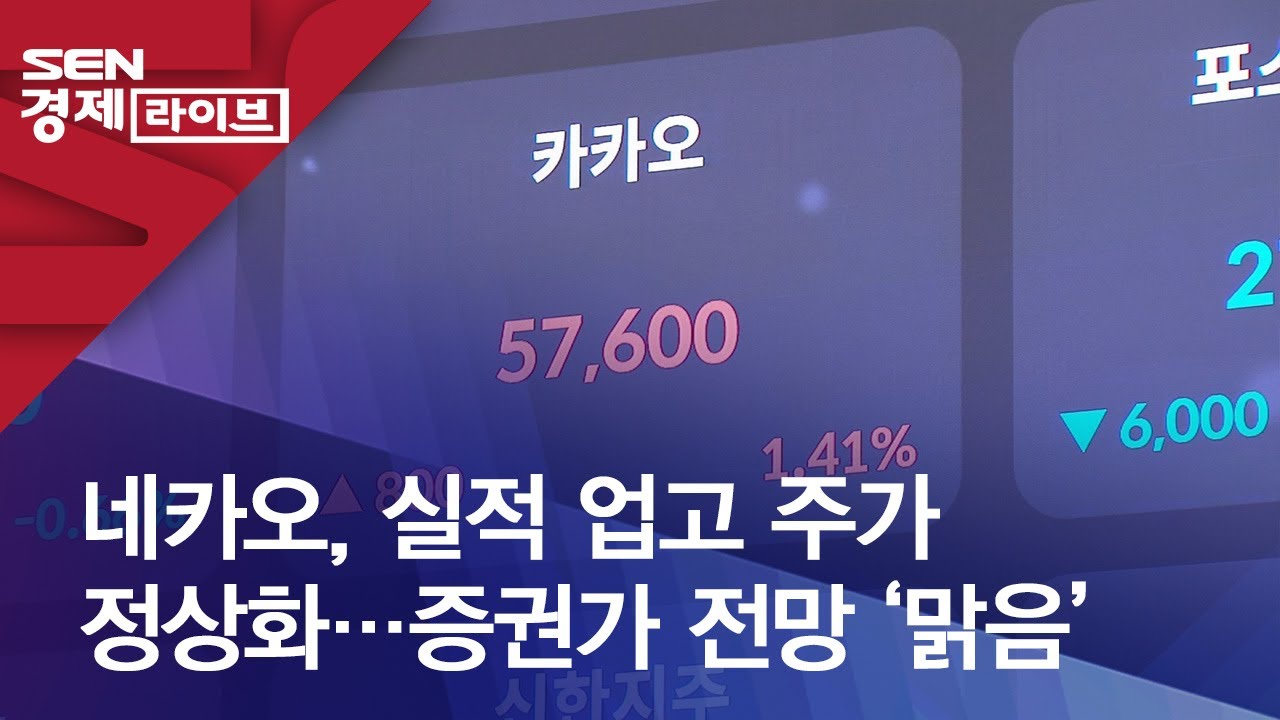네카오, 실적 업고 주가 정상화…증권가 전망 ‘맑음’