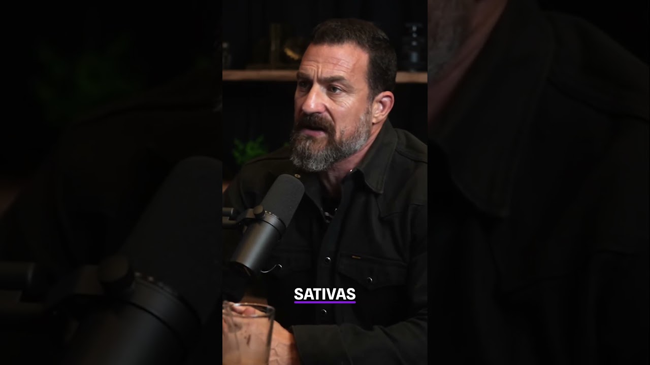 Unveiling the Truth About High THC Cannabis and Psychosis