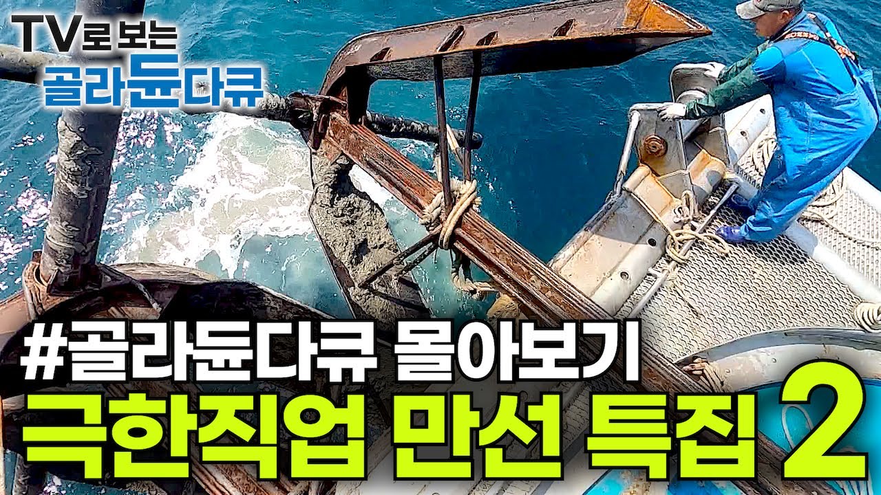 🏅오늘도 결국 만선 2탄!✨ 밤낮없이 휘몰아치는 🌊파도에도 거침없이 바다와 맞서는 어부들의 만선 출항기!┃갈치 가자미 양미리 붕장어 옥돔┃만선 특집┃극한직업 몰아보기┃#골라듄다큐