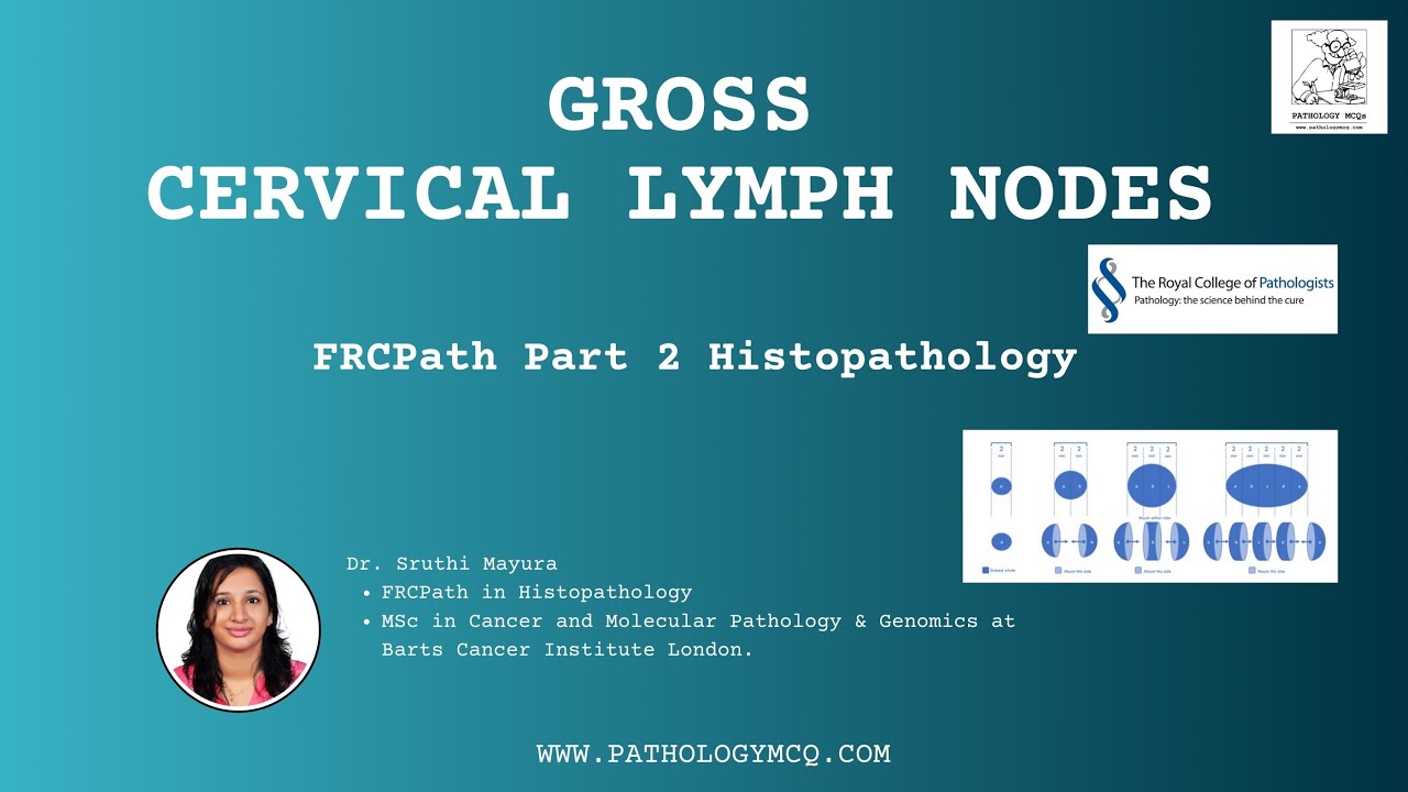 How to handle cervical lymph node gross| RCPath datasets| FRCPath Part 2 Histopathology