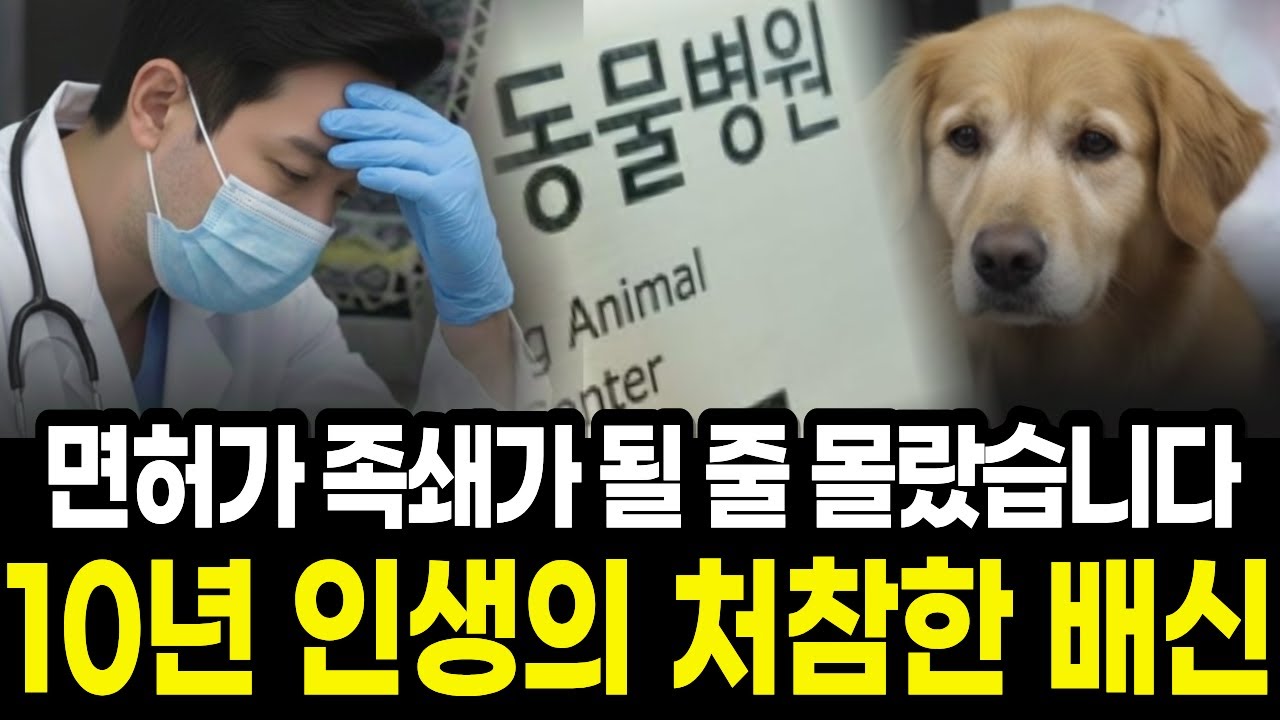 “10년을 바쳤는데 남는 게 없어요” | 수의사 면허가 ‘족쇄’가 된 구조적 이유