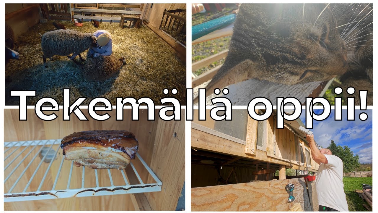 VLOG | Tekemällä oppii - ajatuksia tulevaisuudesta