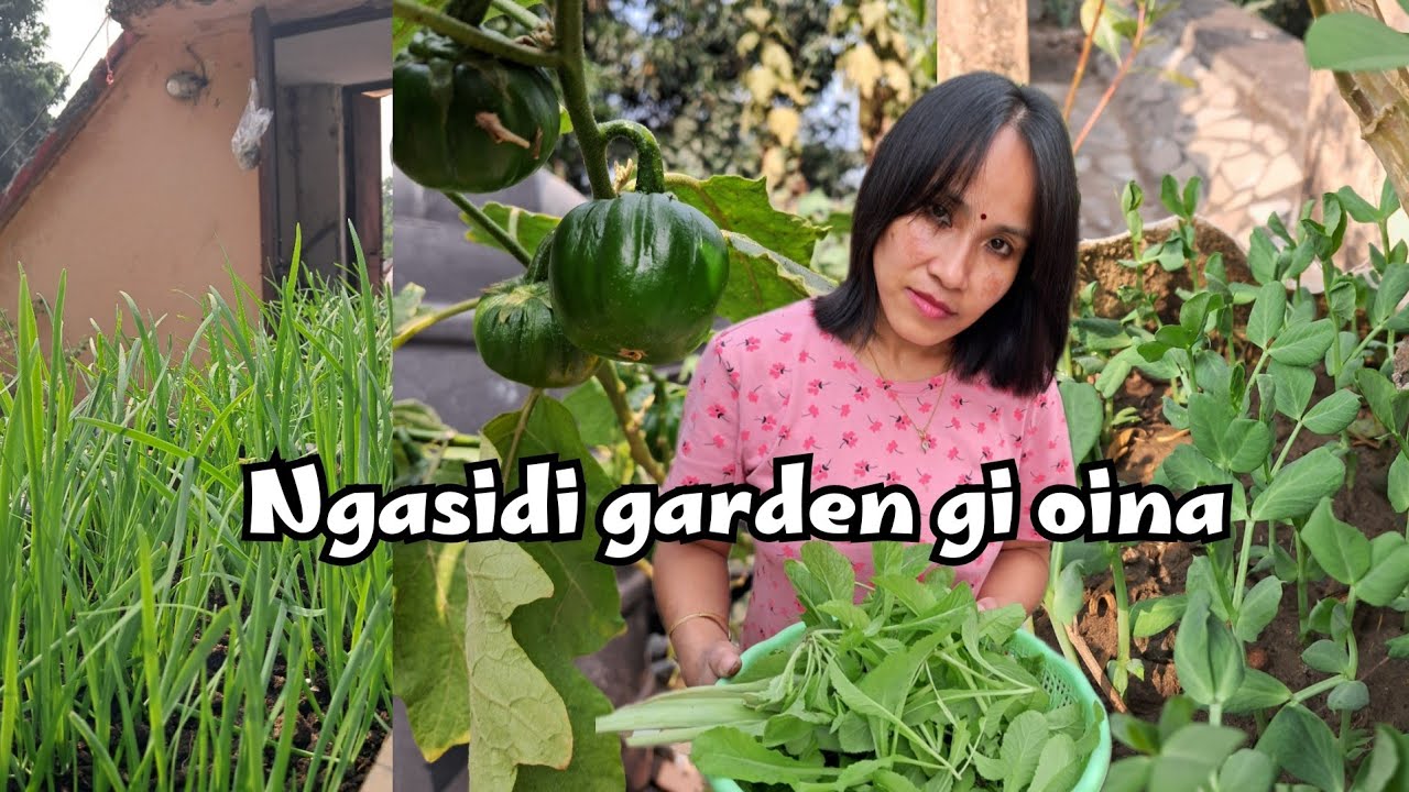 Ngasidi garden gi oina twrasi