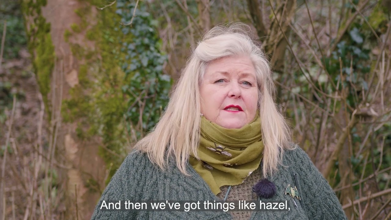 Somerset Libraries Presents: Ham Hill (with subtitles)