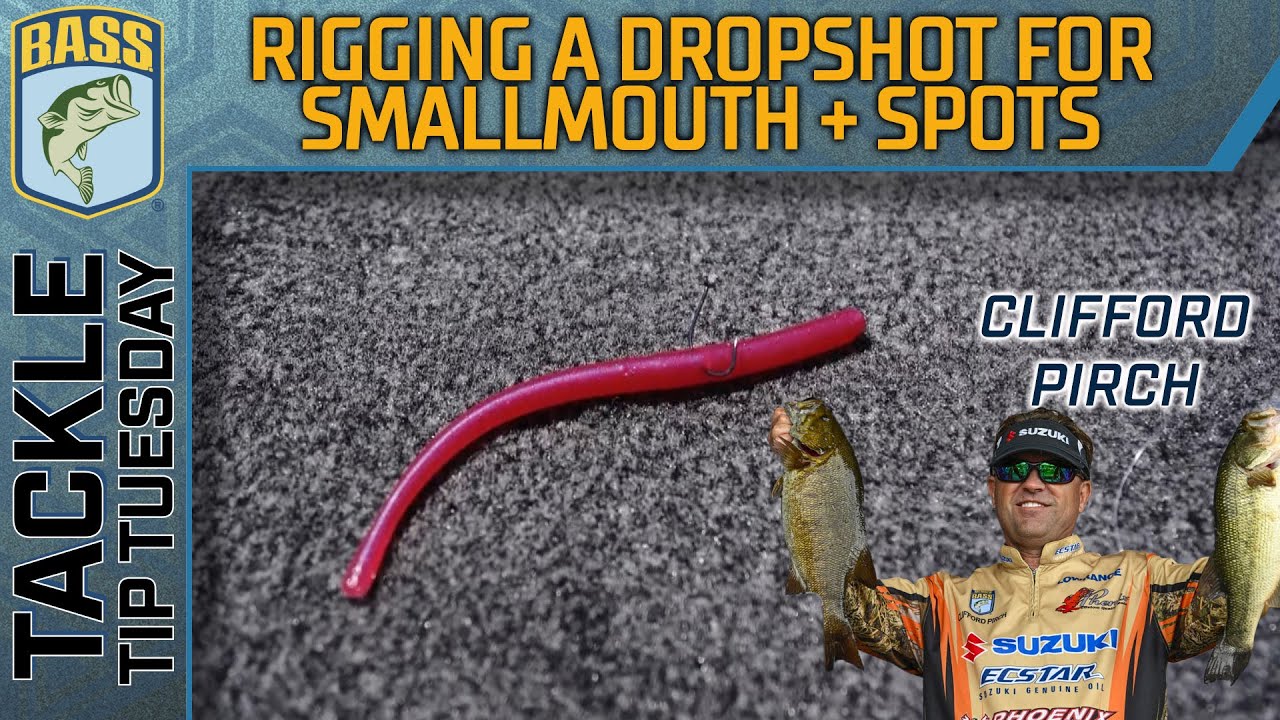 Effectively rig your DROP SHOT for Smallmouth and Spotted Bass