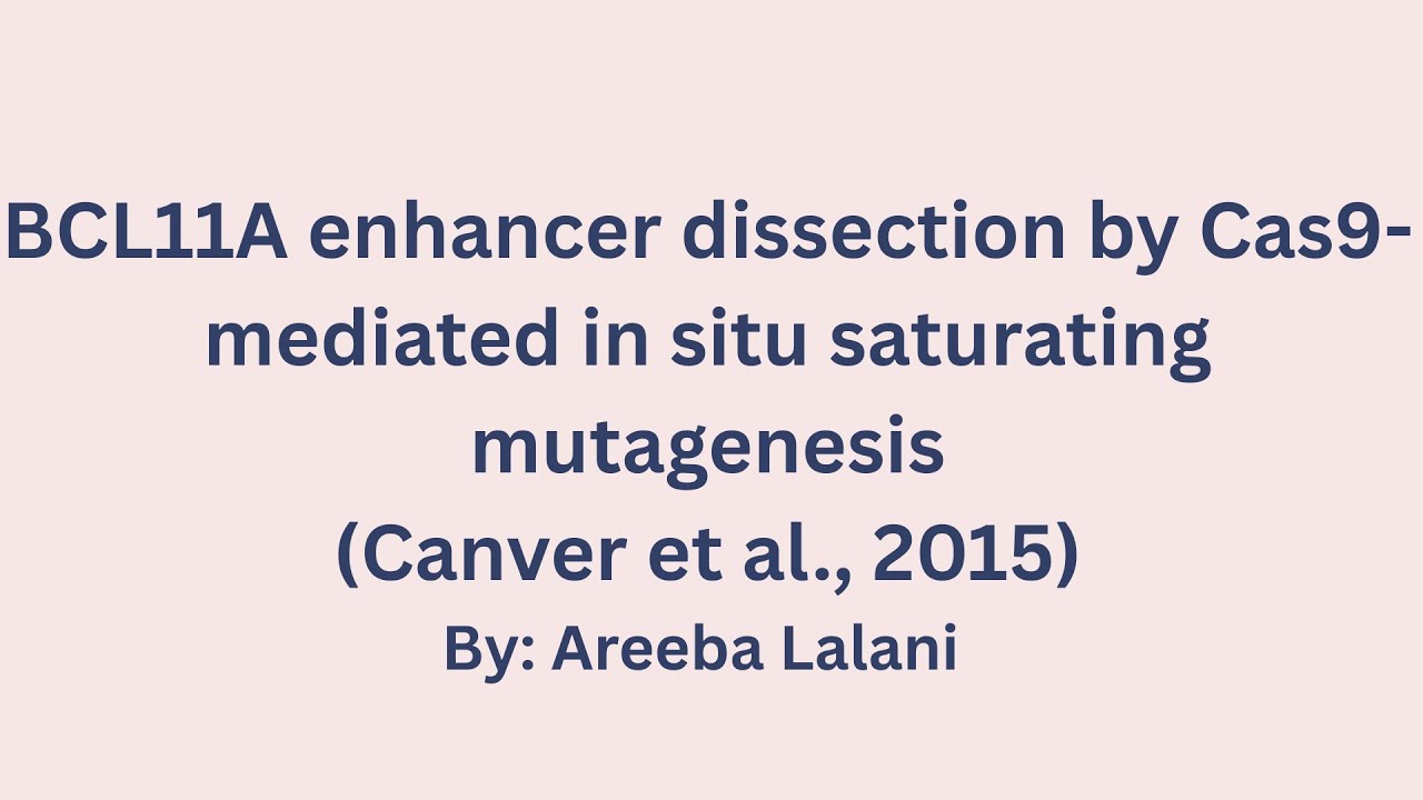 BCL11A enhancer dissection by Cas9-mediated in situ saturating mutagenesis