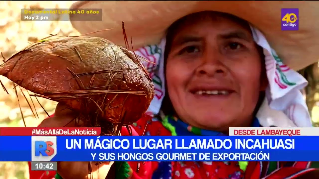 Un mágico lugar llamado Incahuasi y sus hongos gourmet con calidad de exportación