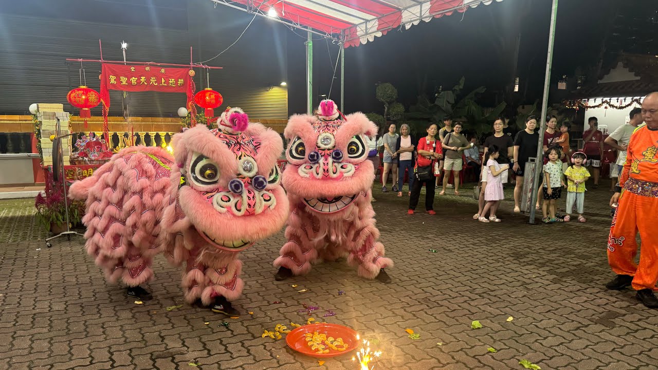 新加坡旨靈壇體育協會 Singapore Chee Leng Tua Dragon & Lion Dance Cai Qing Performance at 廣明堂 3 March 2026