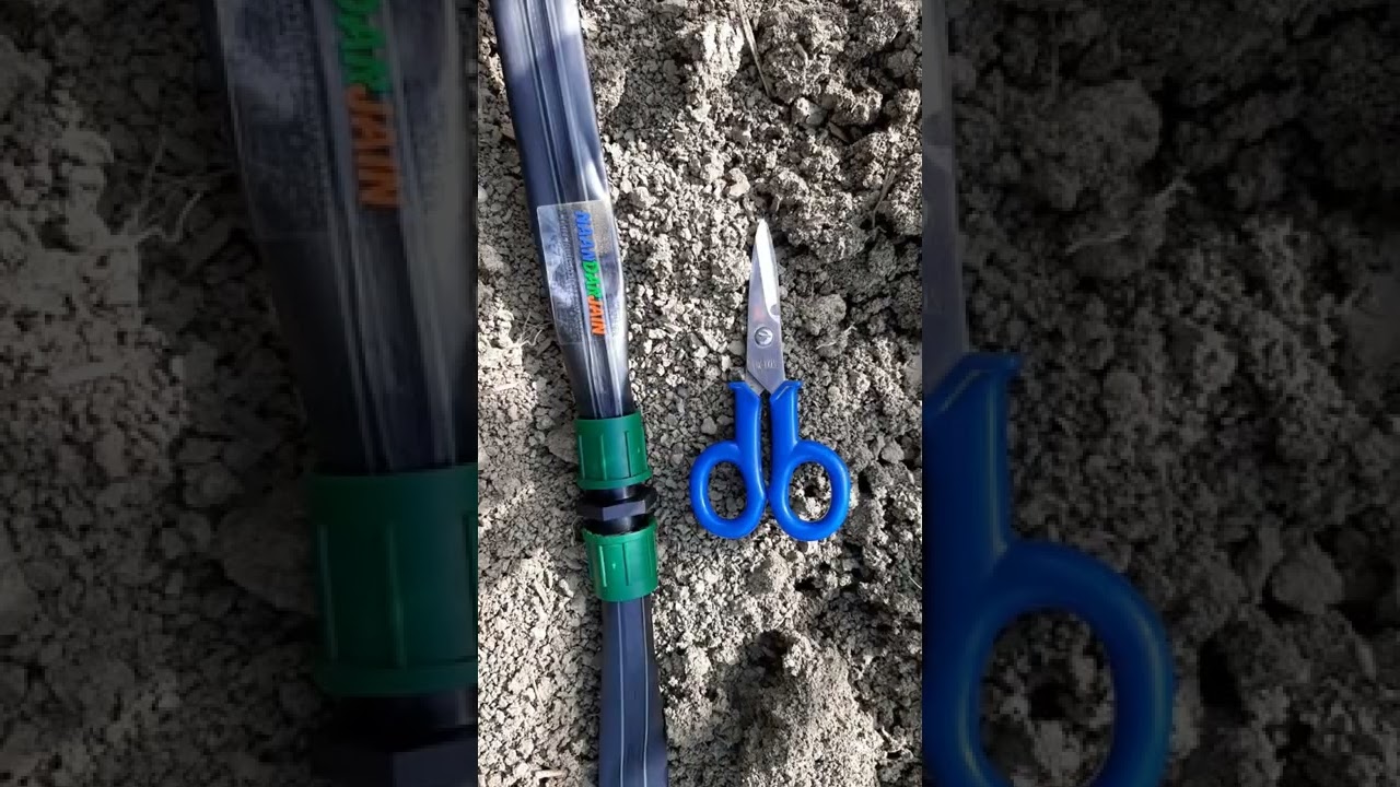 stesura manichetta mais