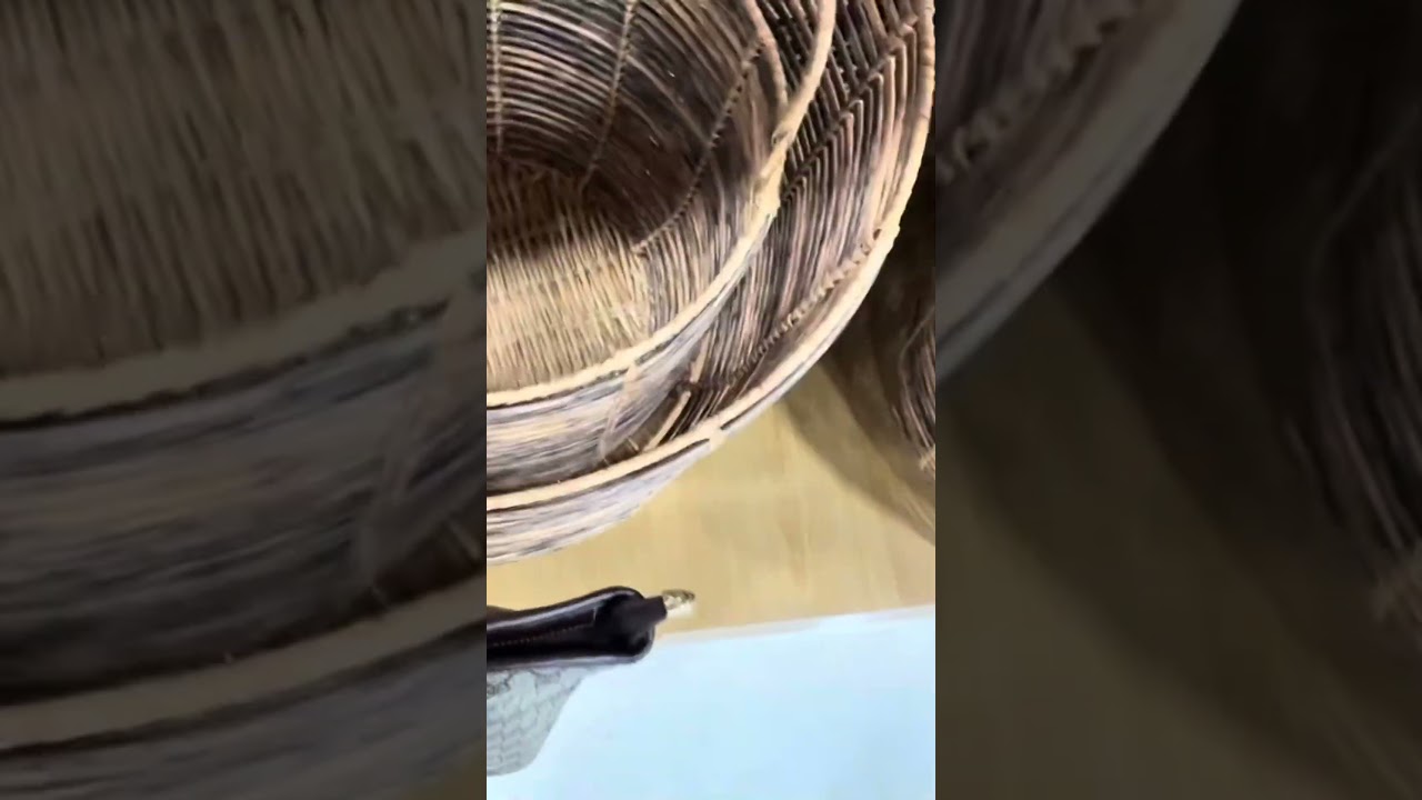 احضروا الفيديو كامل على قناتي ❤️