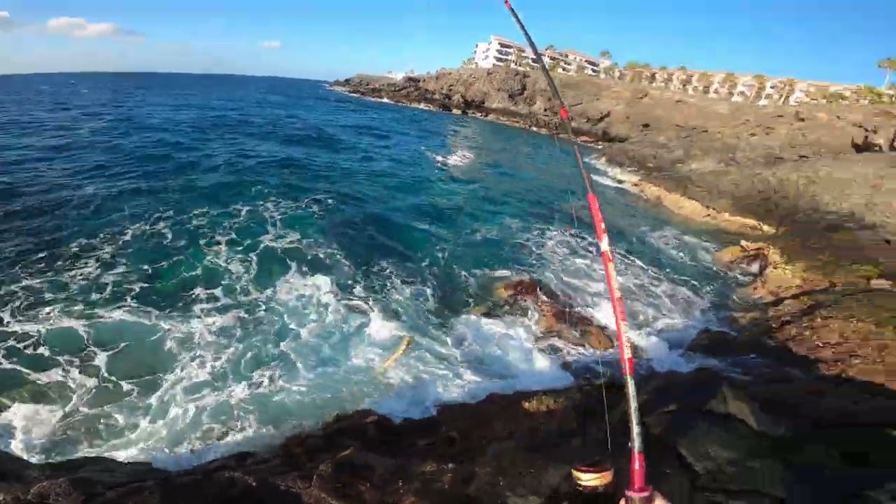 Easy rock fishing in Ternerife,  Lizardfish...