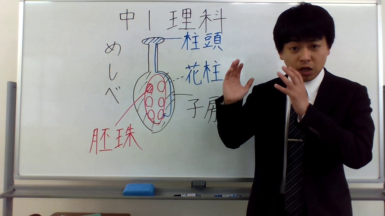 絶対に忘れる胚珠（はいしゅ）o(ﾟ^ ﾟ)