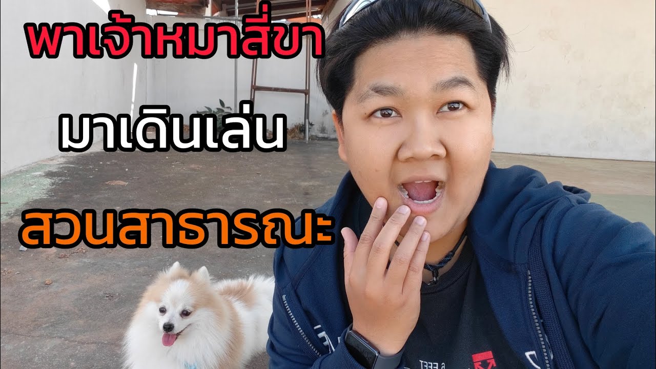 ก่อนพาไปสวน vs หลังกลับบ้าน 😂🐶