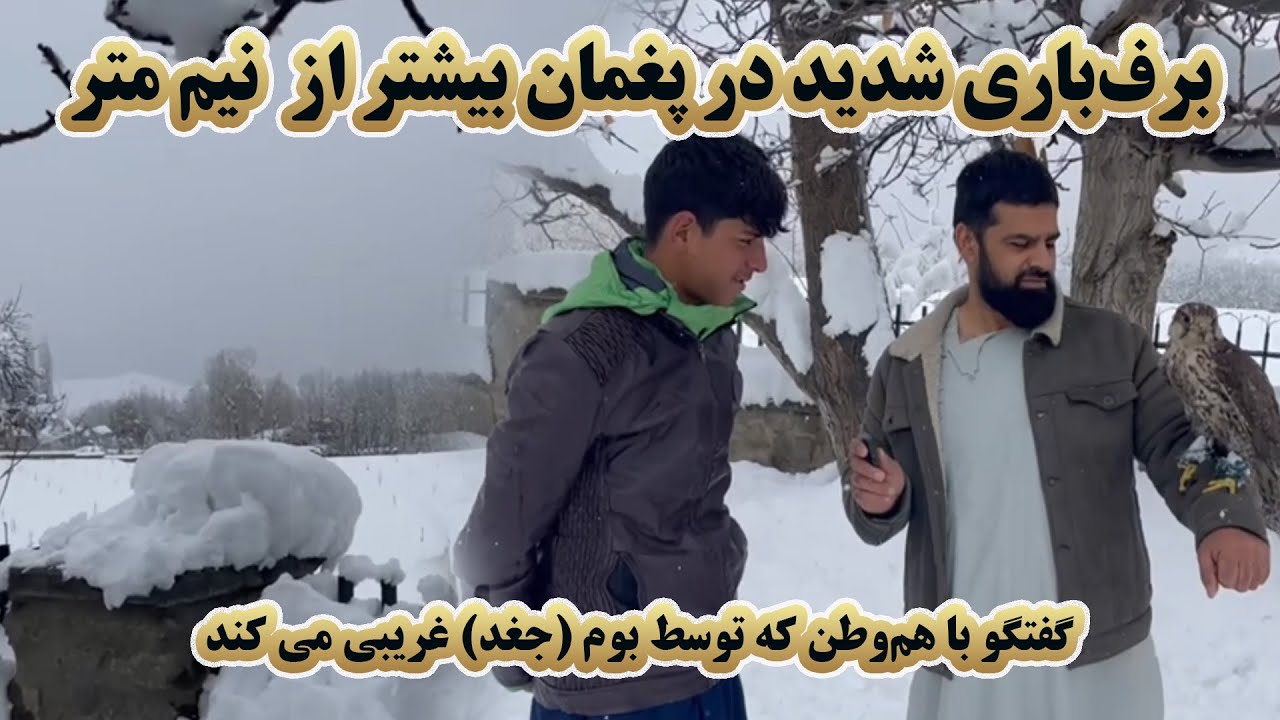 کوچه به کوچه | پغمان زیر برف | گزارش مردمی و قصه‌های جالب