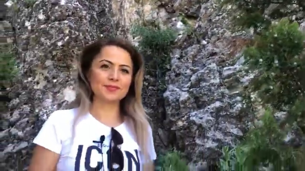 Juniperus excelsa - Boylu Ardıç, Boz Ardıç