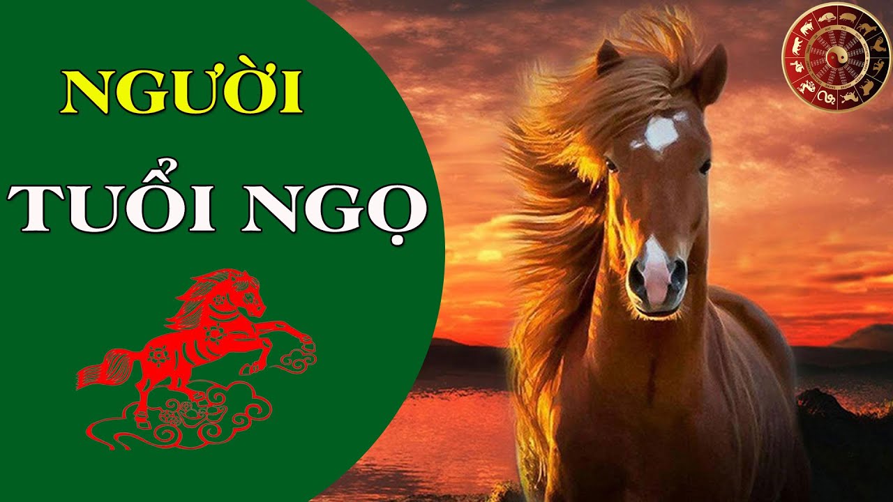 Cuộc Đời Và Tính Cách người Tuổi Ngọ | Ngẫm Để Sống