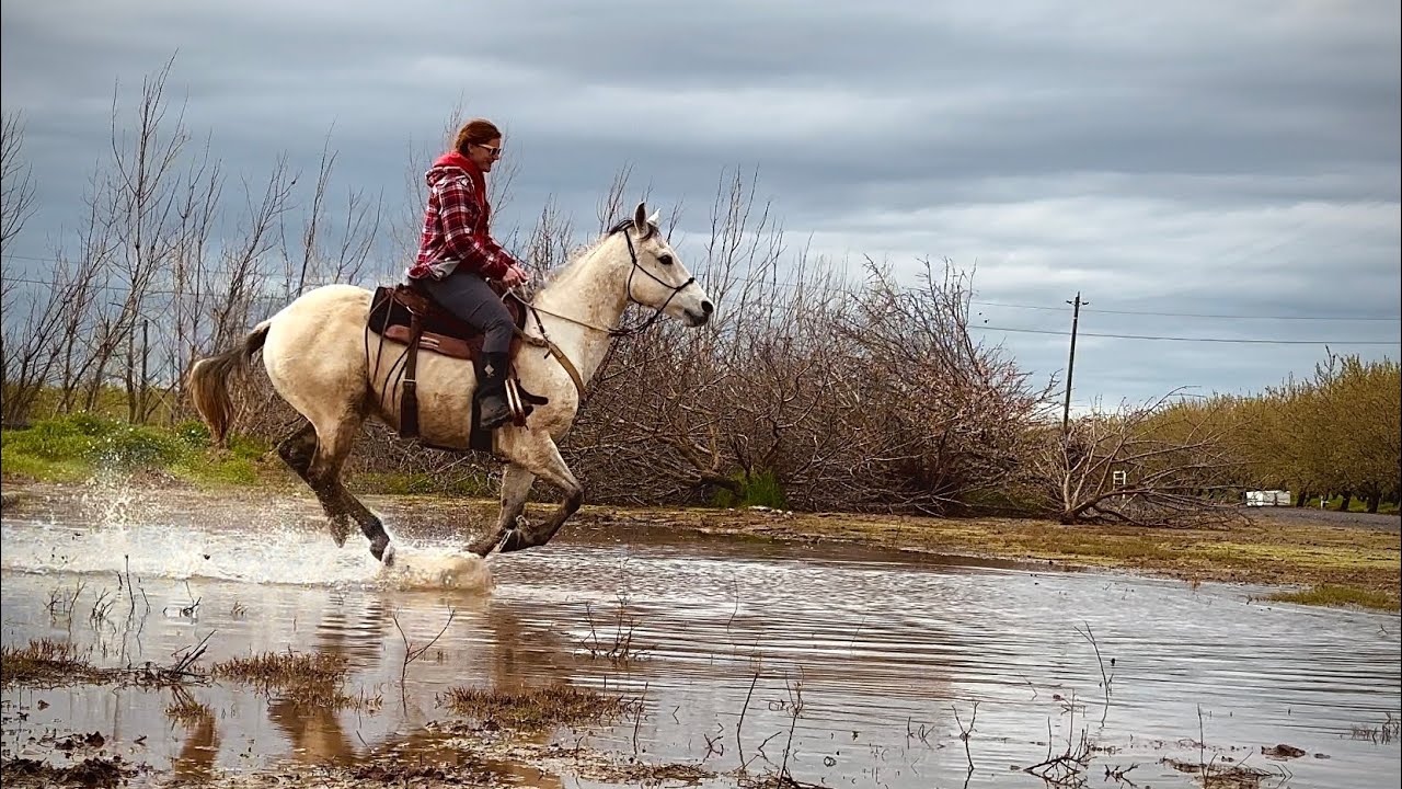 Kissing Spine and Winter is over!