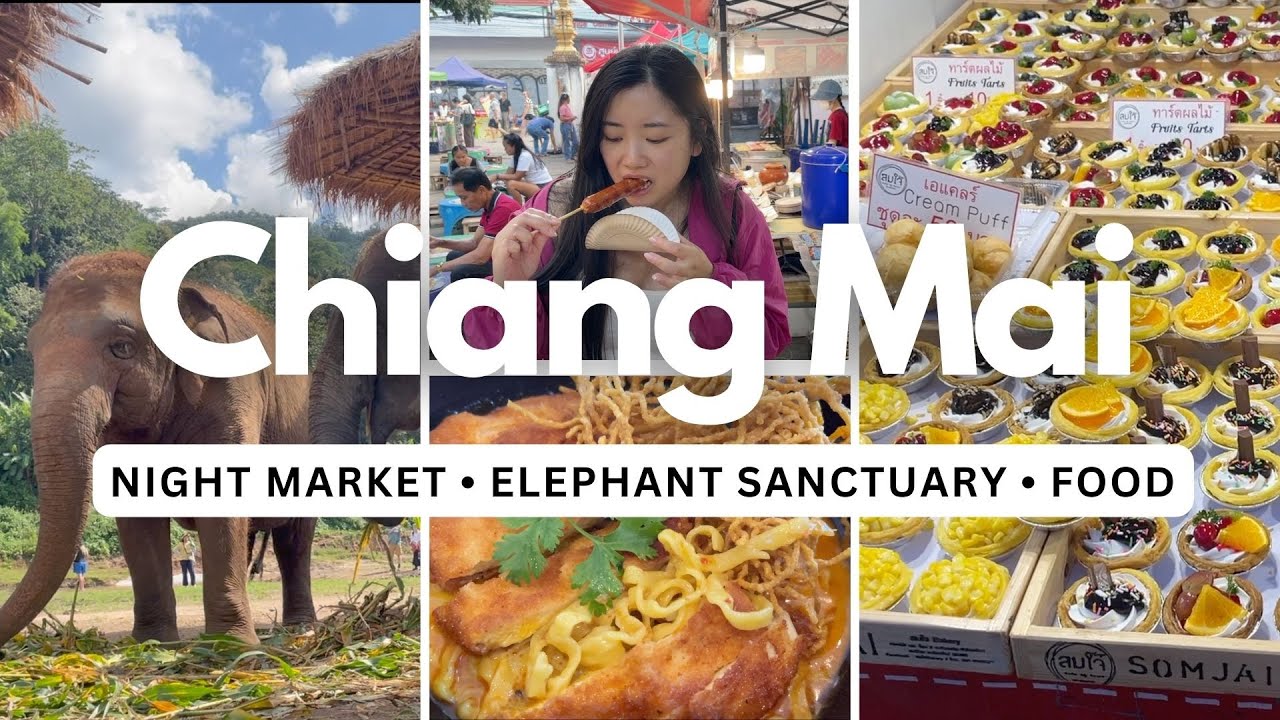 the best of chiang mai | sunday night market, elephant sanctuary, street food
