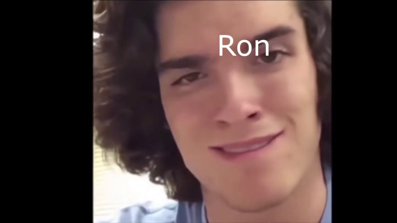 Harry Potter Characters as Vines! (Clean)