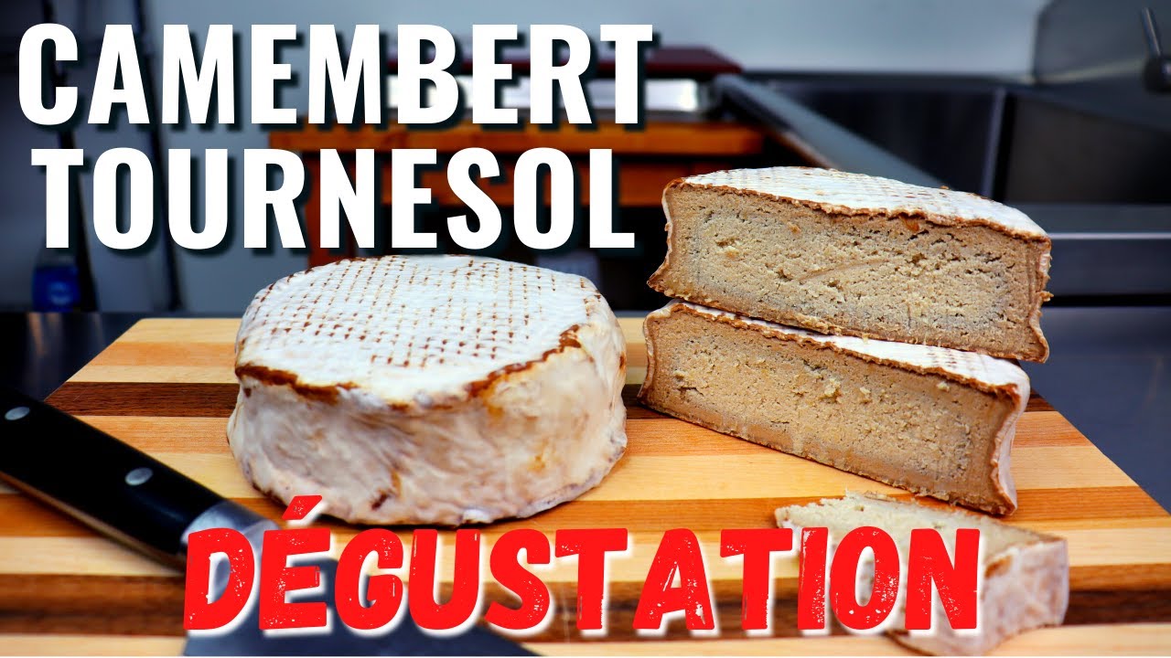 D&eacute;gustation du FROMAGE DE LA CONTROVERSE - CAMEMBERT aux graines de tournesol
