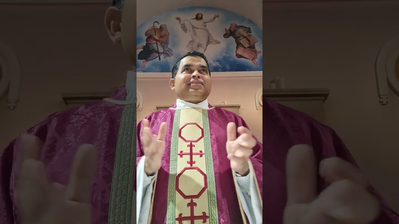 Repent! For the kingdom of heaven is at hand- Mt3:1-12: 2nd Sunday of Advent Year A