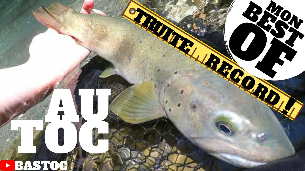 BEST OF TOP 5 TRUITES RECORDS ! Mes plus GROSSES TRUITES au TOC !
