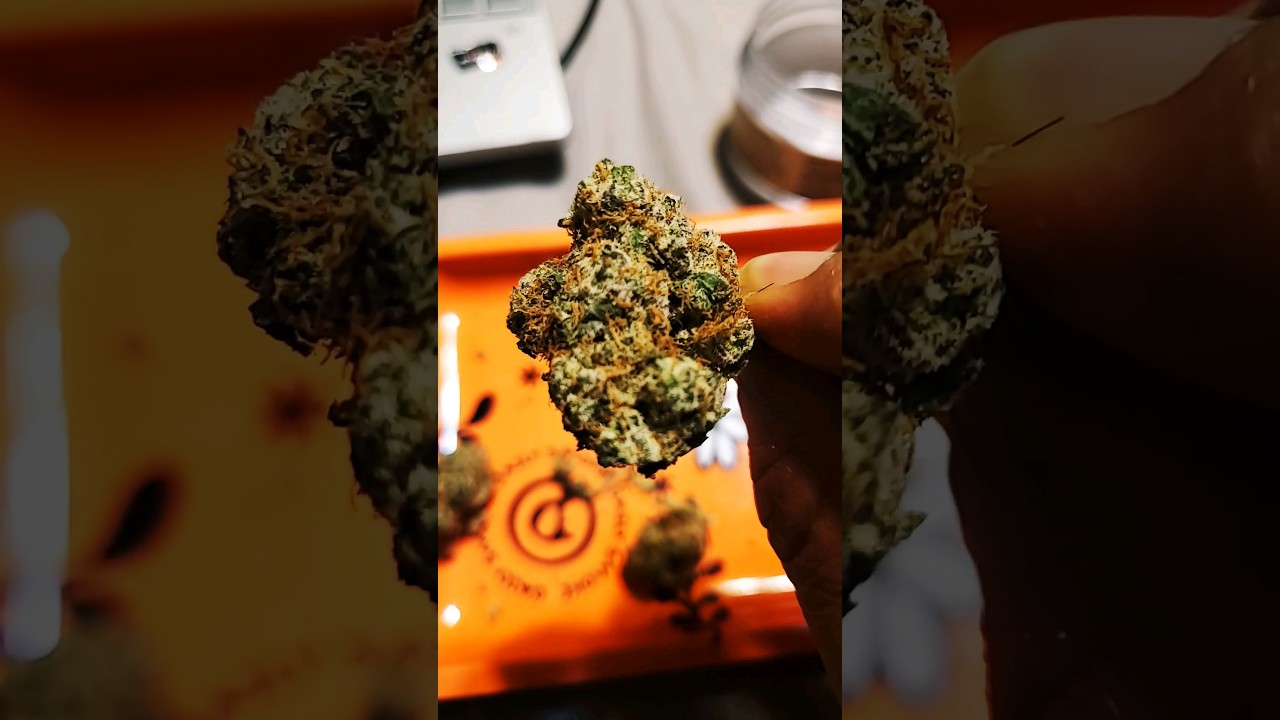 LONDON SPACE SHUTTLE By HIGH SUPPLY! full Review up now on channel.