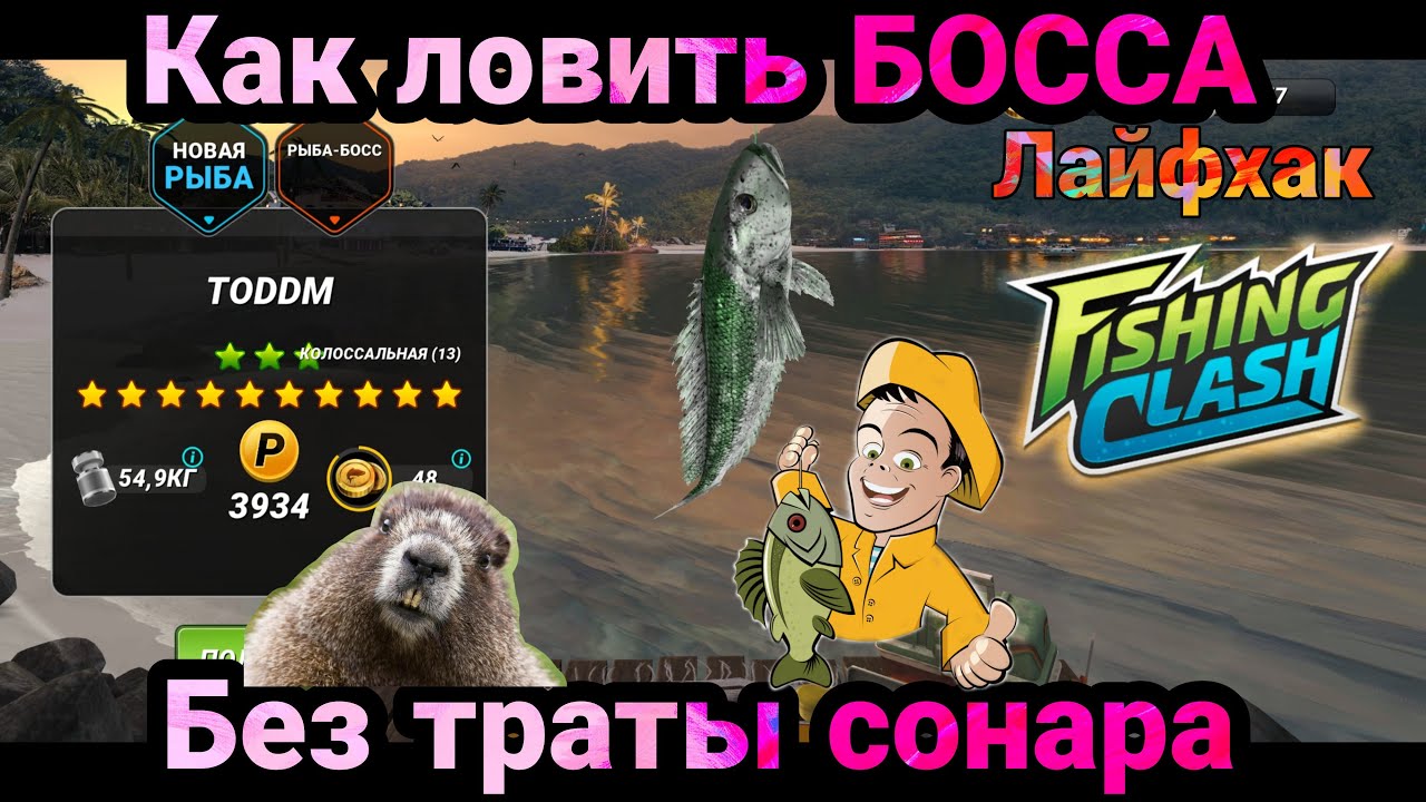 Лайфхак как ловить рыбу Босса без траты усиления сонар / Fishing Clash: Реальная рыбалка