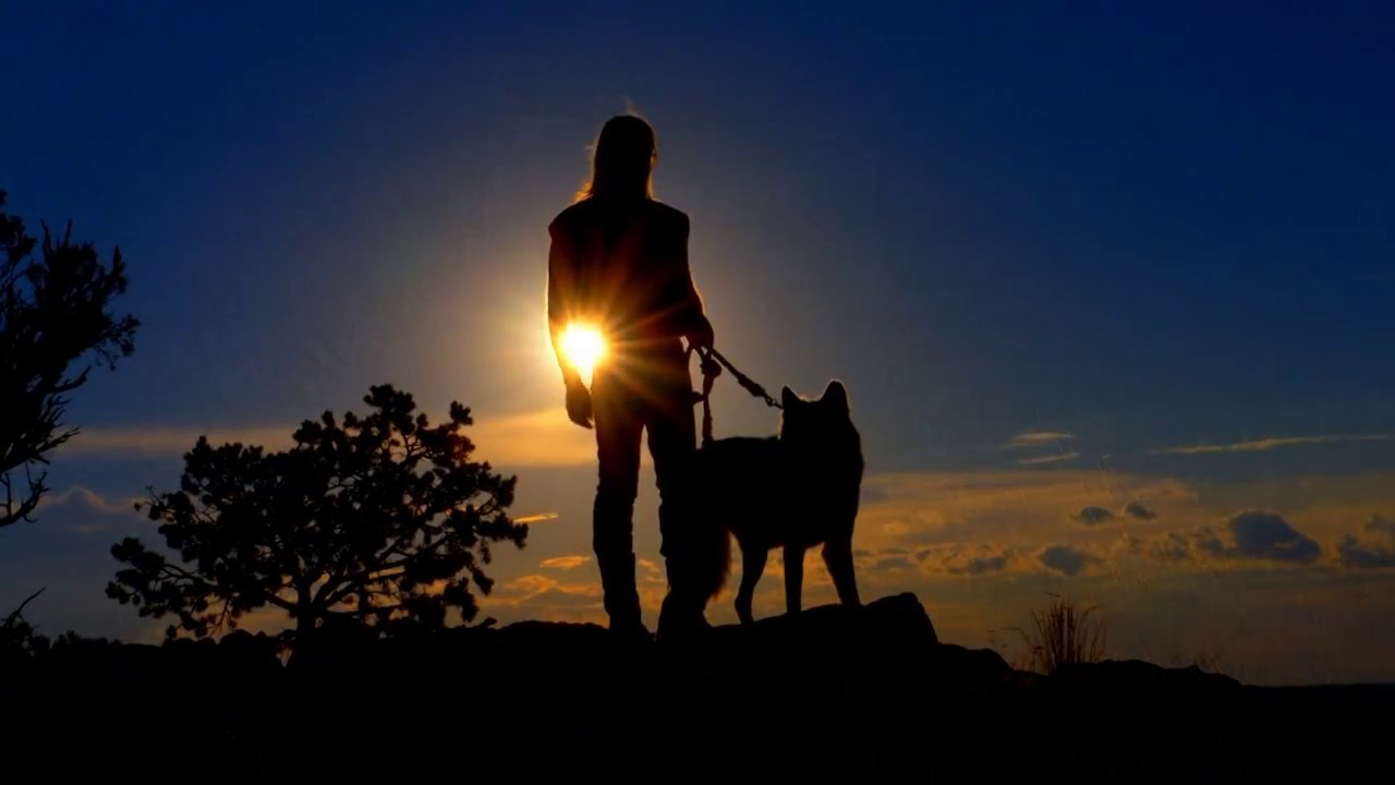Wild Spirit Wolf Sanctuary with George R. R. Martin