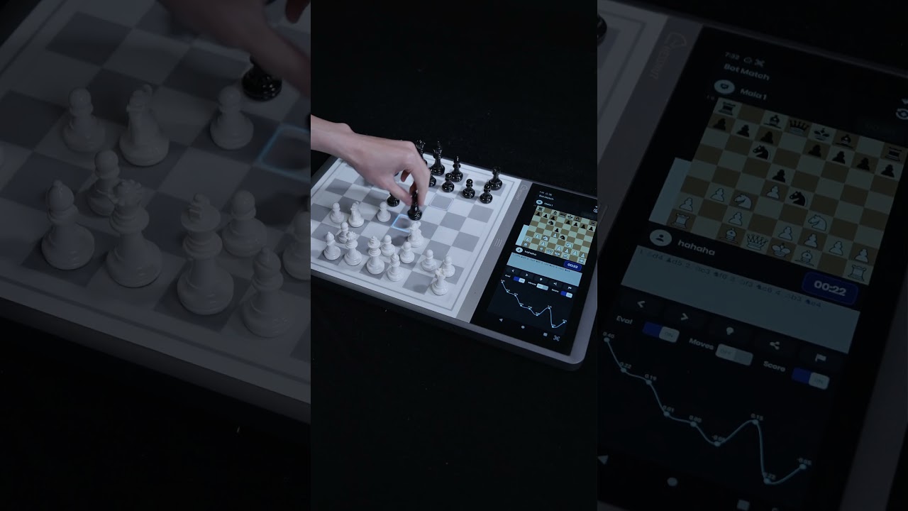 Only one player. No opponent. Still chess? 