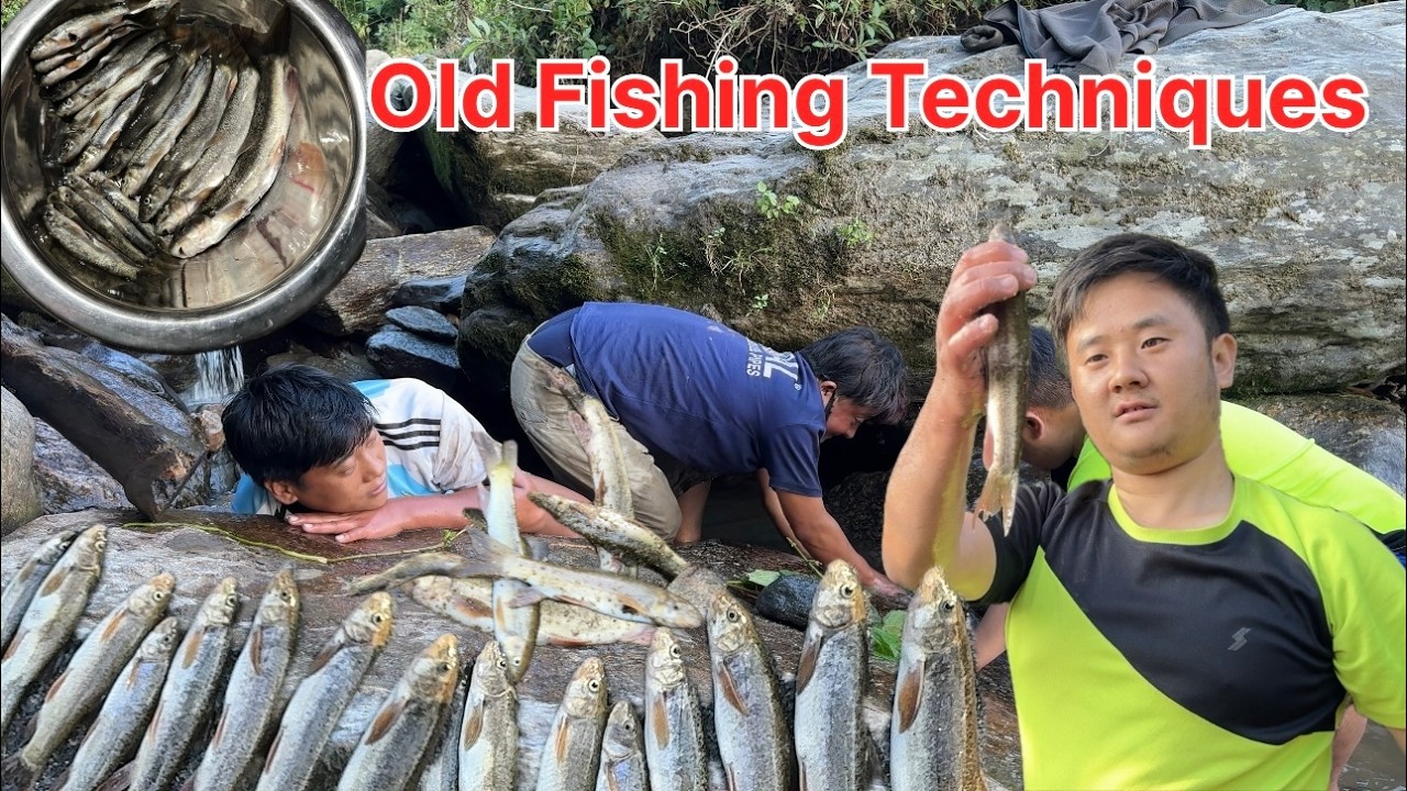 Traditional fishing techniques | Old traditional fishing skills | Primitive fishing | Fishing Video