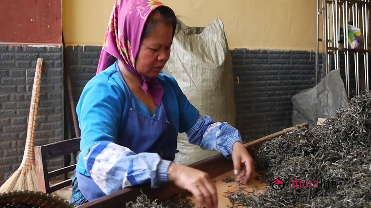 Making PuErh Tea - The Traditional Way