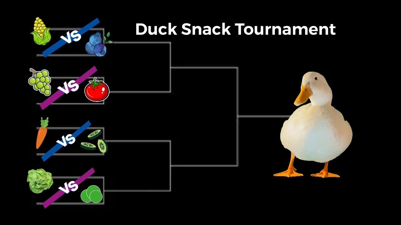 Duck Snack Tournament