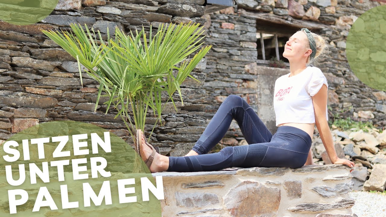 Verfugen unserer Beetumrandung aus Naturstein + Palme pflanzen🌴 #088
