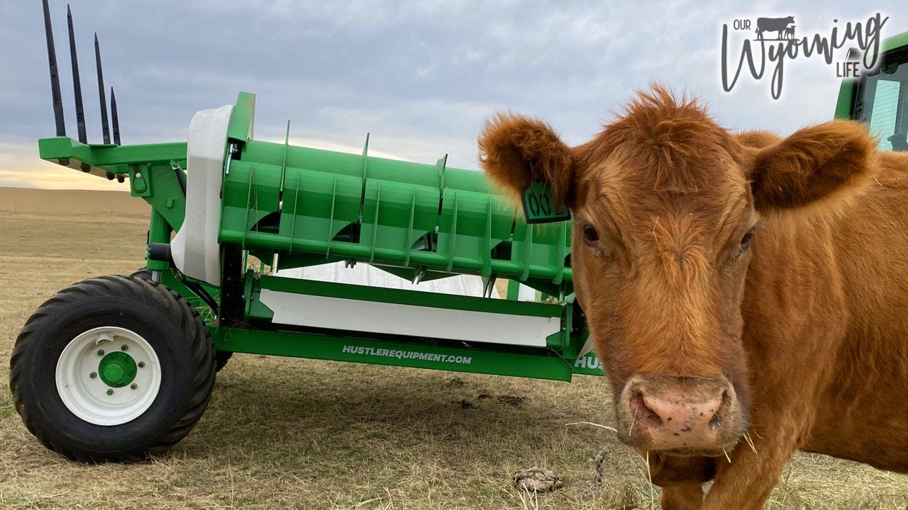 A NEW and BETTER Way to Feed on the Ranch! | Hustler Equipment TX205