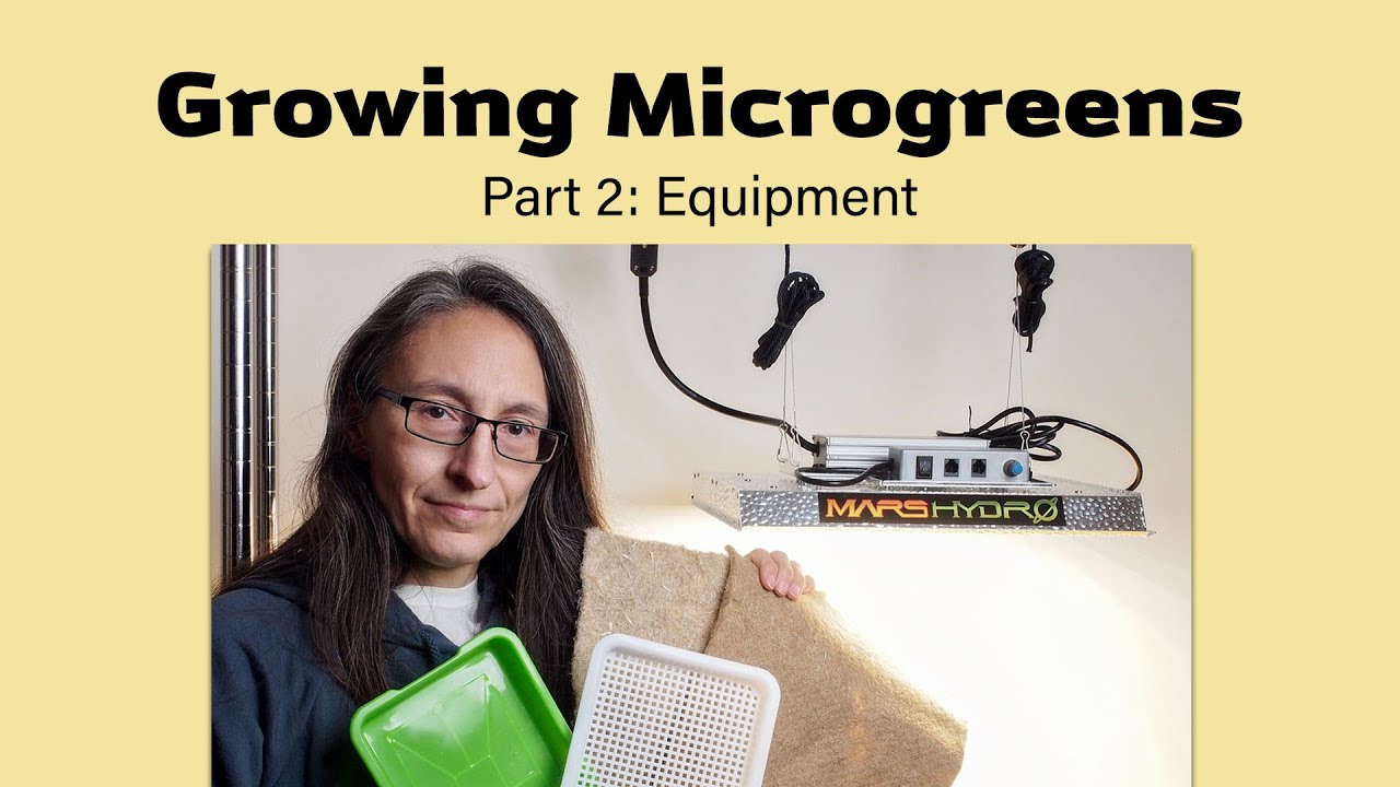 Growing Microgreens Part 2: Equipment