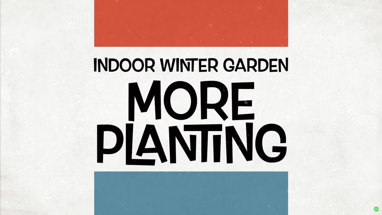 Indoor Winter Garden: More Planting, SEED TO HARVEST. More lights, more dirt and other updates