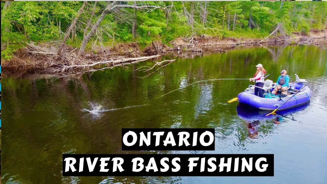 Outstanding River Bass Fishing | Algonquin Fly Fishing