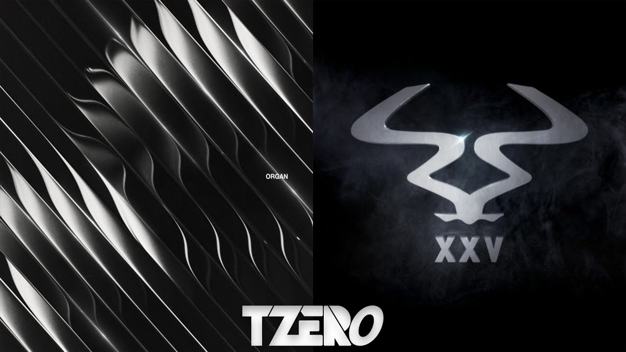 Sensory Division VS X-Ray (Metrik Remix) - Dimension VS Sub Focus [TranZcend Blend]