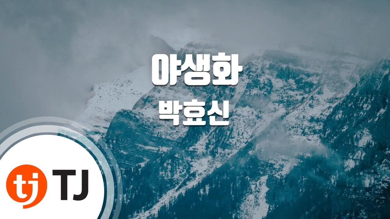 [TJ노래방 / 여자키] 야생화 - 박효신 / TJ Karaoke