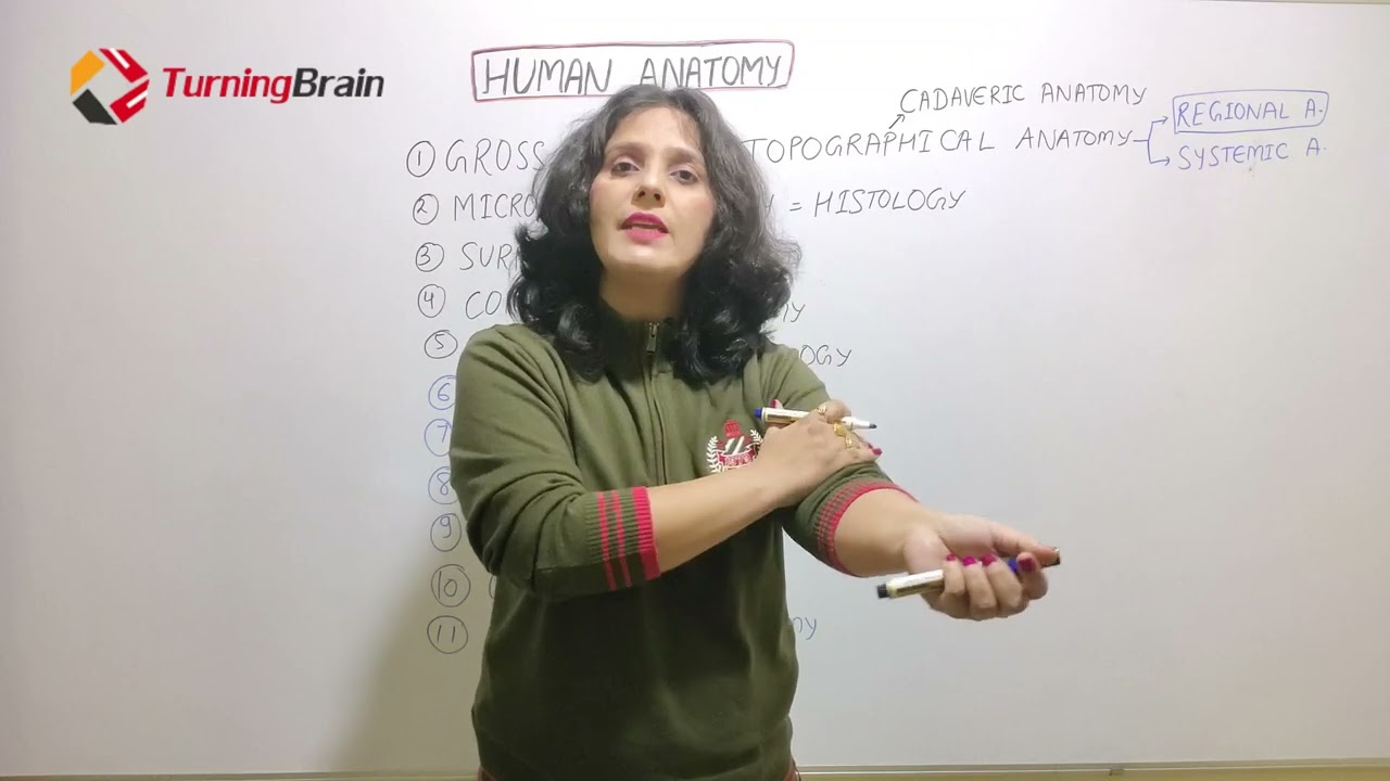 WHAT TO STUDY IN ANATOMY IN MBBS FIRST YEAR? TYPES OF ANATOMY