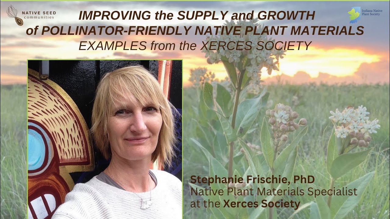 Improving the supply and growth of pollinator-friendly native plant materials-Xerces Society