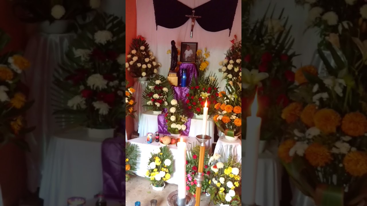 Alabanza difuntos. Alégrate hermano