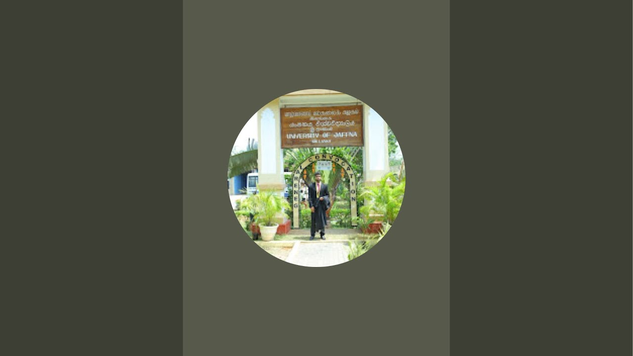 Piraveen View is live