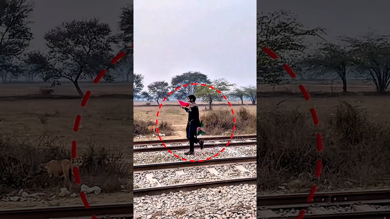 This Railway Worker Stop ✋The 🚂 Train