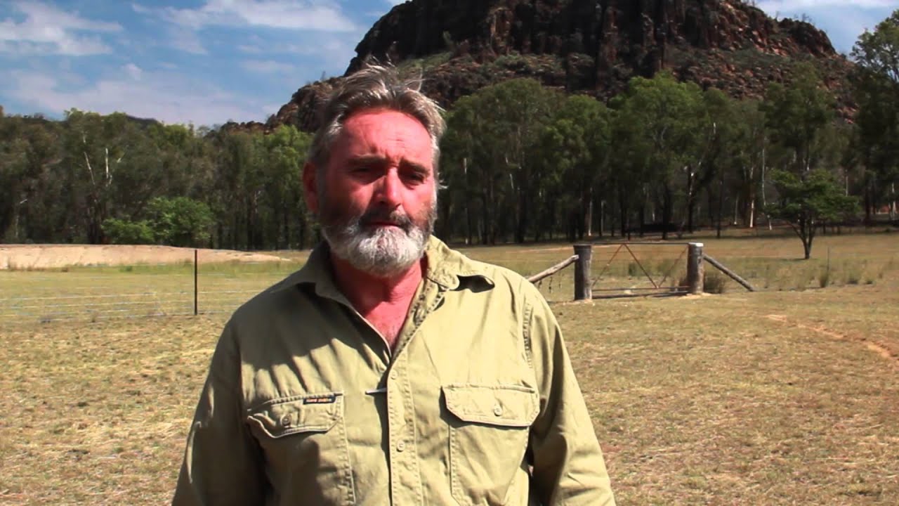 Wild dog management - behaviour