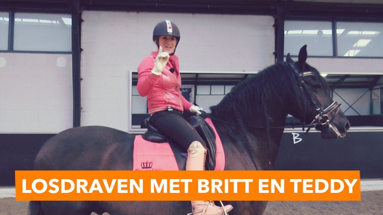 Losdraven met Britt en Teddy | PaardenpraatTV